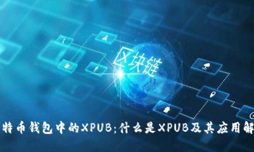 比特币钱包中的XPUB：什么是XPUB及其应用解读