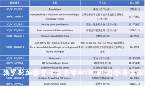 俄罗斯加密货币交易中心：现状、趋势与未来