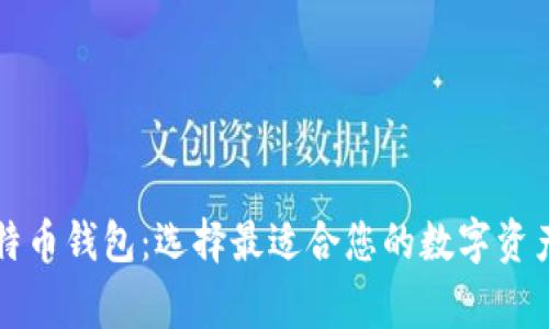 常见的比特币钱包：选择最适合您的数字资产存储方式