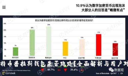 比特币普拉斯钱包是否跑路？全面解析与用户对策