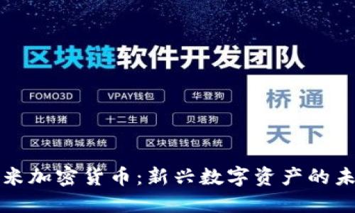 米粒小米加密货币：新兴数字资产的未来趋势