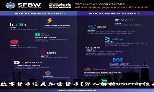 USDT是数字货币还是加密货币？深入解析USDT的性质与应用