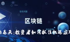 加密货币的春天：投资者如何抓住机遇应对市场