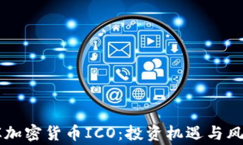 
菲律宾加密货币ICO：投资机遇与风险分析