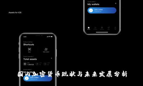 国内加密货币现状与未来发展分析