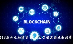  SHIBU是什么加密货币？一文了解其特点和投资机