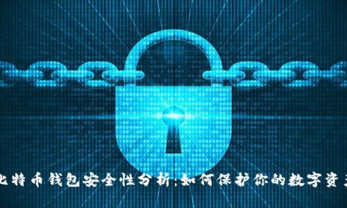 比特币钱包安全性分析：如何保护你的数字资产