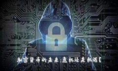 加密货币的未来：危机还是机遇？
