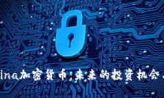 深入了解Lina加密货币：未来的投资机会与市场前