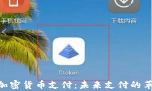 
Adyen加密货币支付：未来支付的革新之路