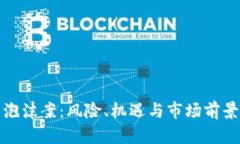 加密货币泡沫案：风险、机遇与市场前景深入解