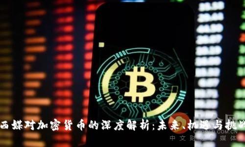 西媒对加密货币的深度解析：未来、机遇与挑战
