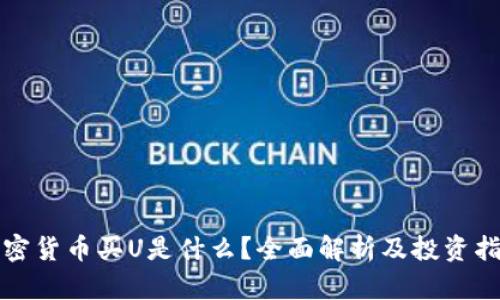 加密货币买U是什么？全面解析及投资指南