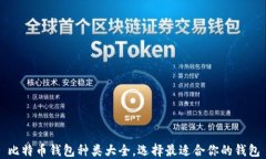 比特币钱包种类大全，选择最适合你的钱包