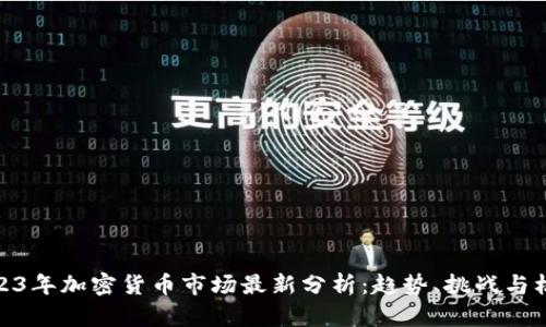2023年加密货币市场最新分析：趋势、挑战与机遇