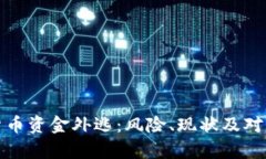 加密货币资金外逃：风险、现状及对策分析