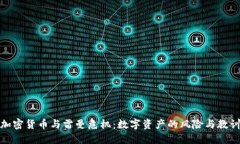 加密货币与雷曼危机：数字资产的风险与教训