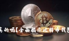 比特币钱包是真的吗？全面揭示比特币钱包的真