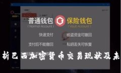 全面解析巴西加密货币交易现状及未来发展