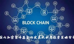 国内加密货币基金的发展现状与投资策略分析