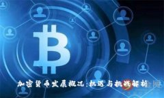 加密货币发展概况：机遇与挑战解析