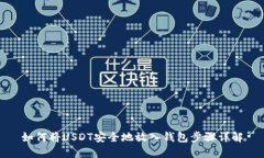 如何将USDT安全地放入钱包步骤详解