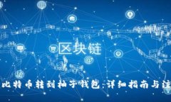 如何将比特币转到柚子钱包：详细指南与注意事