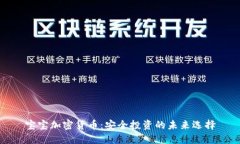 宝宝加密货币：安全投资的未来选择