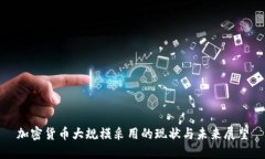 加密货币大规模采用的现状与未来展望
