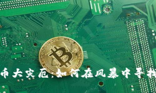 加密货币大灾厄：如何在风暴中寻找安全港