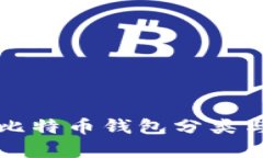 全面解析比特币钱包分类与使用方式