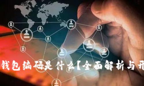 区块链钱包编码是什么？全面解析与开头规则